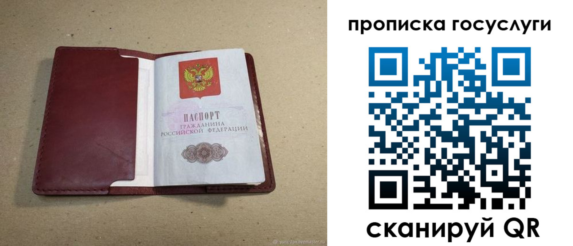 прописка поиск в Волосово